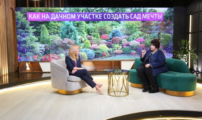 Проверка земли, выбор газона, несовместимость растений: как создать сад мечты на 10 сотках