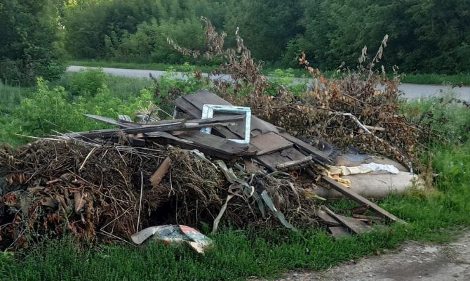 Администрацию Каменского района привлекли к ответственности за свалку в деревне