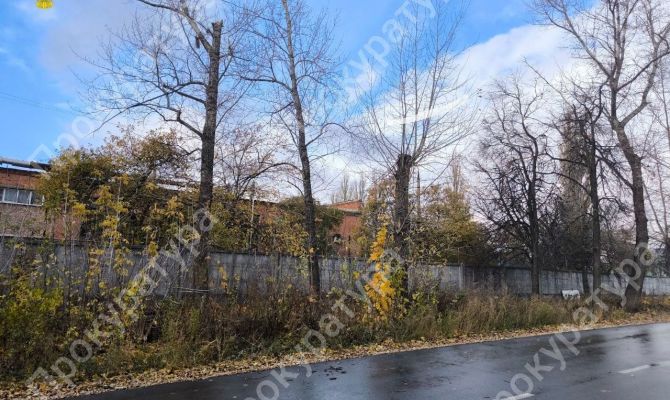 В Ефремове после падения дерева погиб мужчина