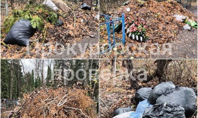 На городском кладбище в Ефремове обнаружили несанкционированную свалку