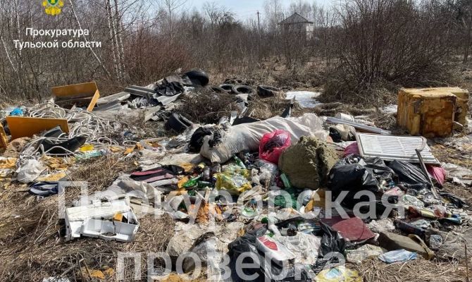 Прокуратура заставила администрацию Донского убрать 2 незаконные свалки