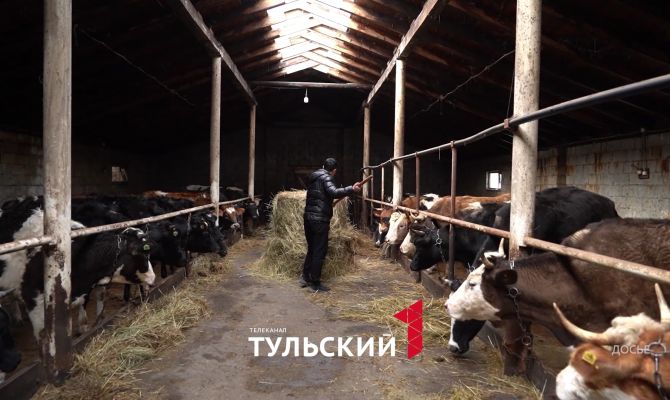 Туляки могут получить до 8 миллионов рублей на агростартап