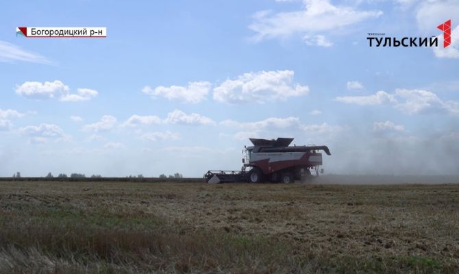 Погода, санкции и время: как они повлияют на уборку урожая в этом году