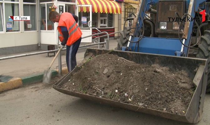 Высохшие реагенты и одуванчики по пояс: как выглядит Тула за неделю до наступления лета