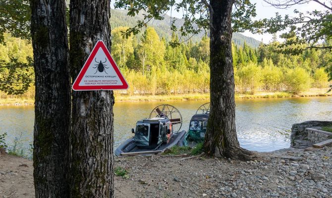 В Тульской области ожидается осенняя активность клещей