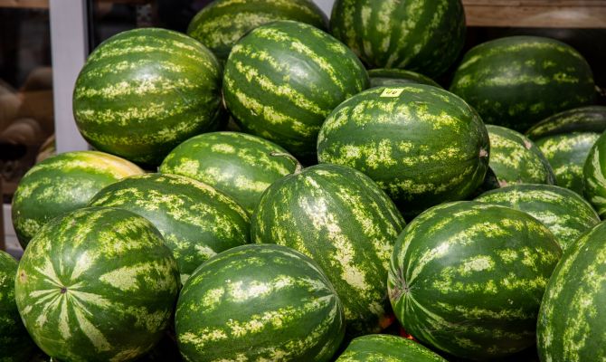 Россиянам рассказали, можно ли покупать арбузы в июле