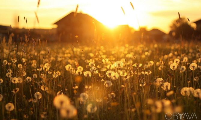Ясная погода ждет туляков 