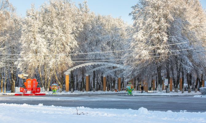В Центральном парке Тулы во время соревнований по спортивной ходьбе умер пенсионер