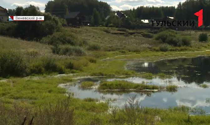 В одном из поселков Веневского района погибает местный пруд