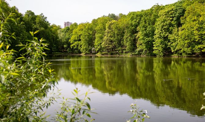 В Тульской области появилось еще 6 особо охраняемых природных территорий