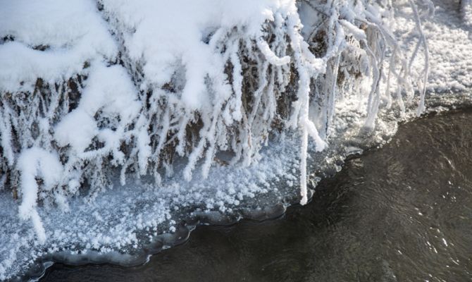 Глава АО «ИЭПИ» Владимир Слободян: «радиоактивный вопрос» в российской Арктике вполне решаем