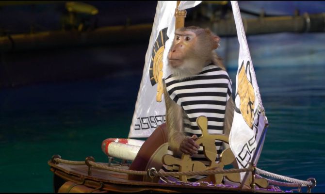 В Тульском цирке продолжаются гастроли циркового мюзикла на воде  «Одиссея» по мотивам поэмы Гомера