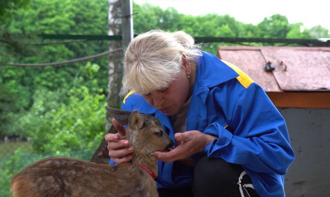 Тулячка стала второй мамой для новорожденного косуленка