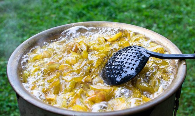 «Ясная Поляна» к яблочному сезону приготовила яркий праздник