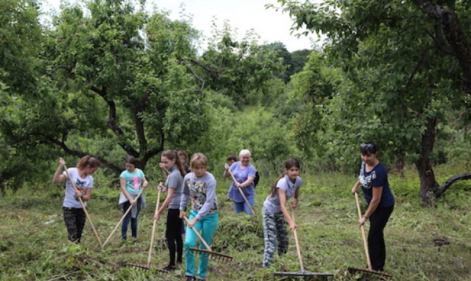 «Муравейное братство» поработало в яблоневом саду Ясной Поляны