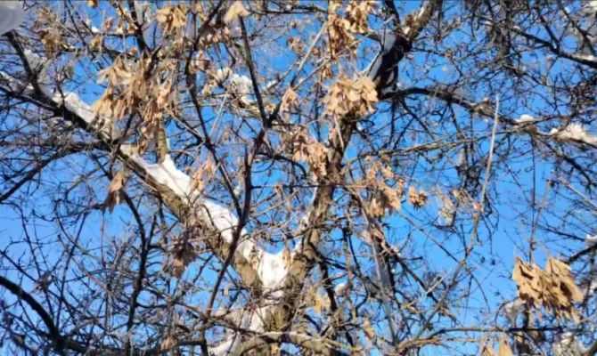 Сильный туман ожидается 10 марта в Туле