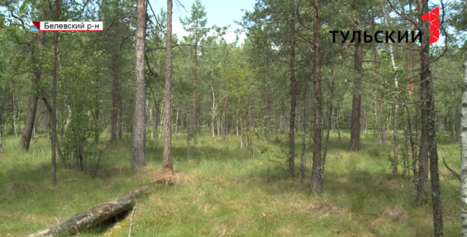 Уникальное болото под Белевом привлекло внимание экологов