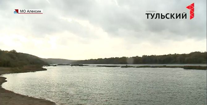 Больше ста тысяч мальков стерляди выпустили в Оку в Тульской области