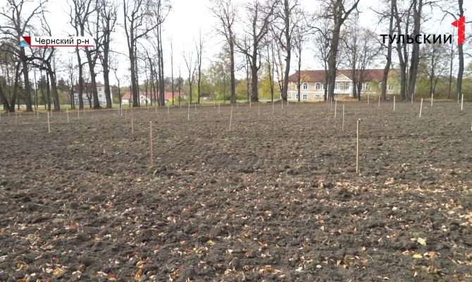 В родовом поместье Тургеневых в Тульской области возрождают яблоневый сад
