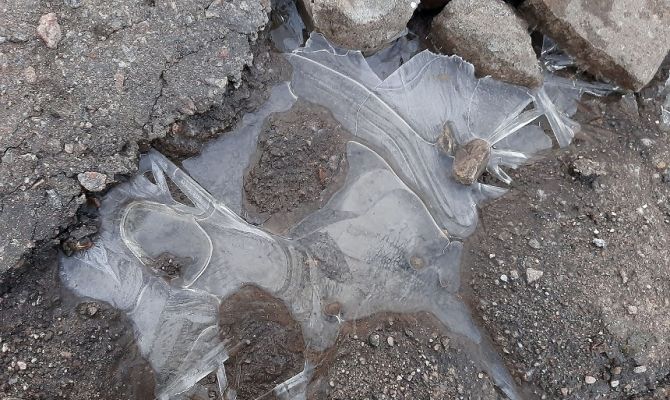 В Тульскую область приходят заморозки и гололедица