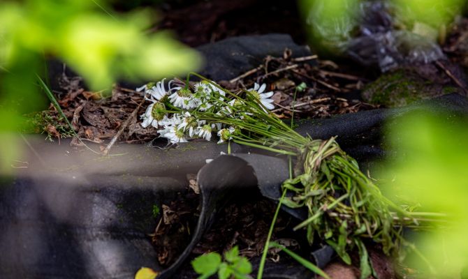 Погибшая под Киреевском девочка: факты и домыслы