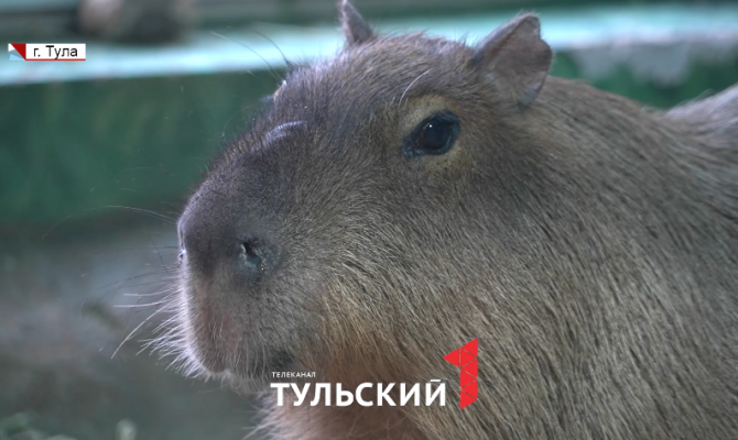 В Туле появился свой символ Дня всех влюбленных