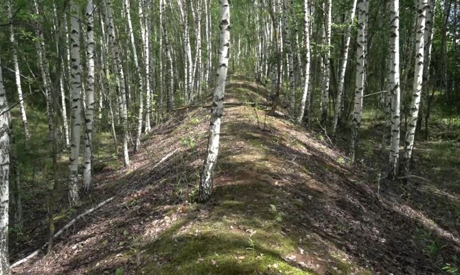 Факты и оборудование: как археологи нашли большую засечную черту в Тульской области 