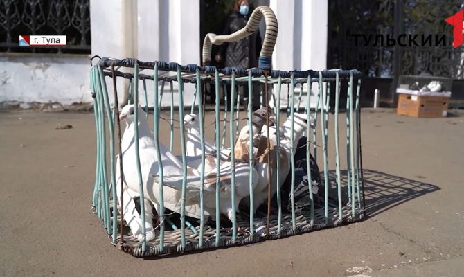 Туляки отмечают Благовещение: как браконьеры наживаются на вере людей в чудо