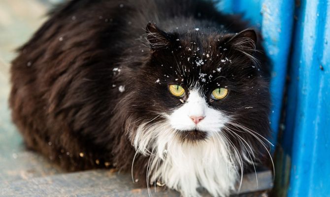 В ночь на 9 февраля в Тульской области будет до -18 градусов