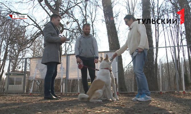 Сезон клещей: как тулякам обезопасить себя и домашних питомцев