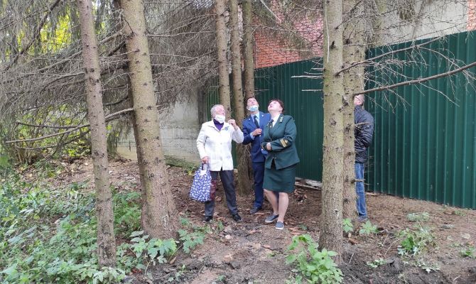 Природоохранная прокуратура выясняет причину гибели леса под Алексином