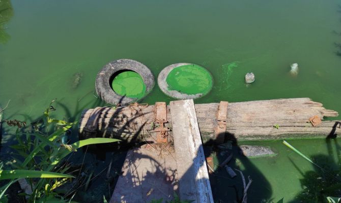 В тульском поселке Молодежном канализацию с многоэтажек сливают прямо в дачный пруд