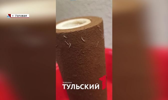 В Узловой назвали причину появления червей в водопроводе