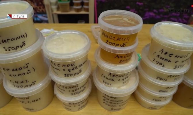 Ложка дегтя в бочке мёда: тульские пчеловоды поделились трудностями ремесла