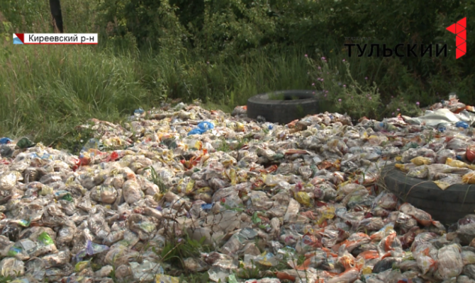 Под Тулой на дороге нашли плюшки, рулеты и ватрушки: подробности 