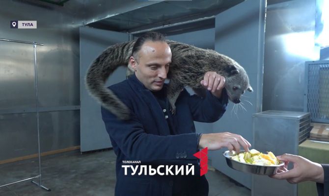 "Шоу воды, огня и света": артисты цирка показали закулисье подготовки к представлению