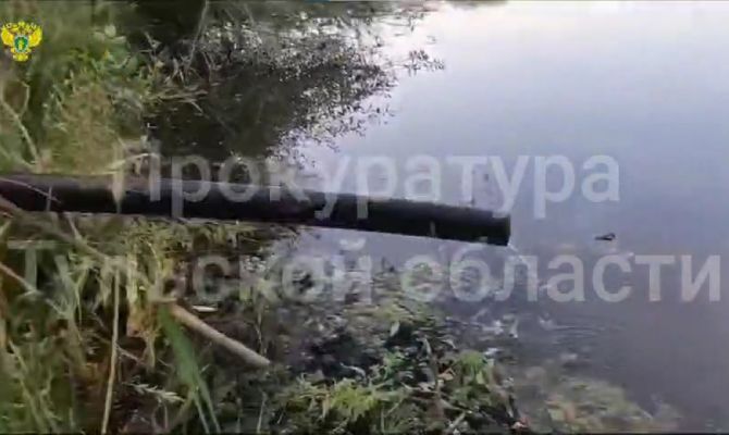 Найден источник загрязнения Нижнего пруда Центрального парка в Туле