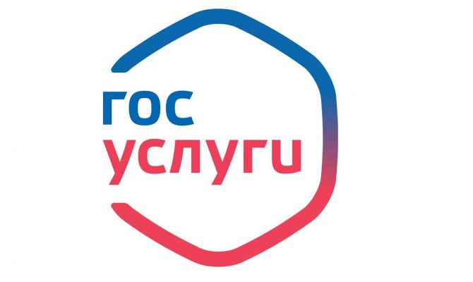 Россияне смогут общаться друг с другом на сайте госуслуг