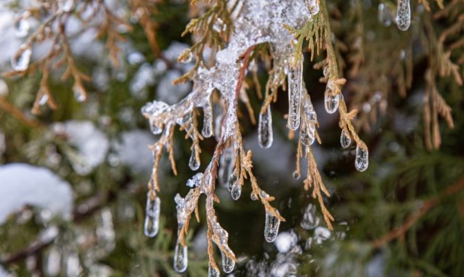 В Тульской области ожидаются заморозки до -2 градусов