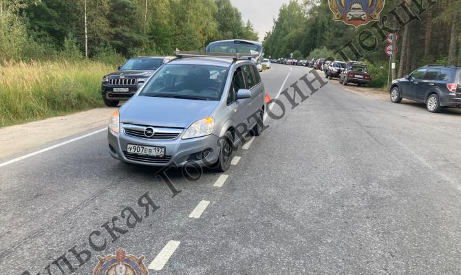 В Заокском районе Тульской области Opel Zafira сбил 9-летнюю девочку