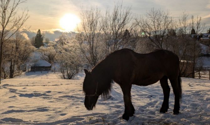 В Ясной Поляне запечатлели солнцестояние