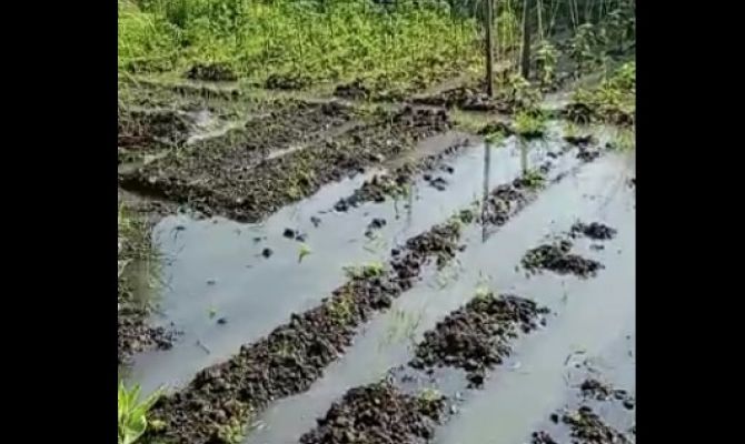 Туляки пожаловались на затопленные канализацией участки