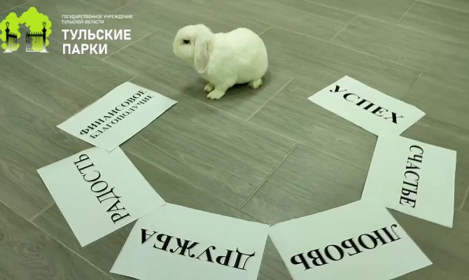 Тульский кролик Пломбир сделал предсказание на 2023 год