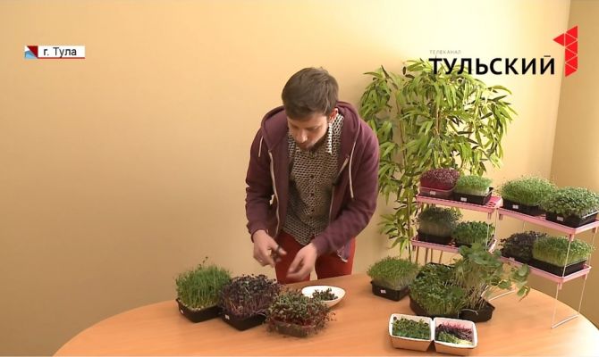 Как превратить хобби в бизнес: советы начинающим предпринимателям 