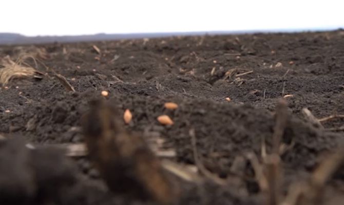 В Туле вынесли приговор  членам ОПГ за мошенничество с земельными участками на 129 миллионов рублей