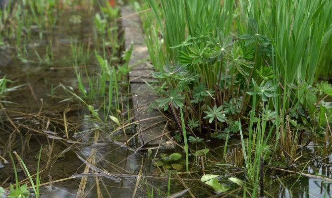 Могилы под водой: в Новомосковске спасают кладбище от затопления