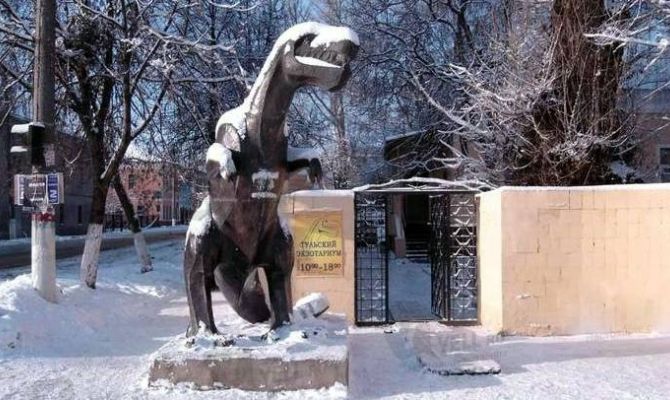 23 февраля в тульский зооэкзотариум мужчин пустят по детскому билету