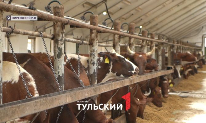 «Лучший по профессии»: под Тулой выбрали лучшего зоотехника региона