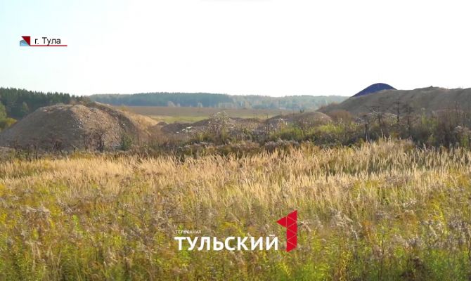 Тулякам грозит уголовная ответственность за рубку деревьев на даче без разрешения