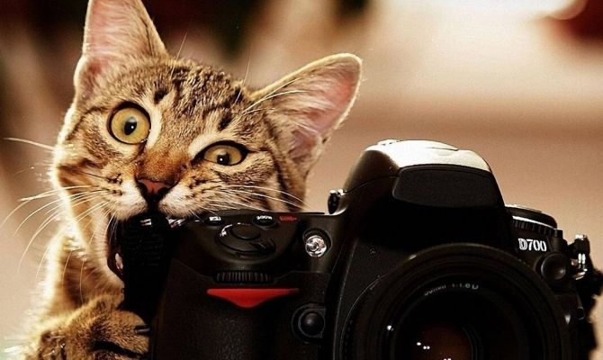 Видеоконкурс «Я экскурсовод» стартовал в Туле